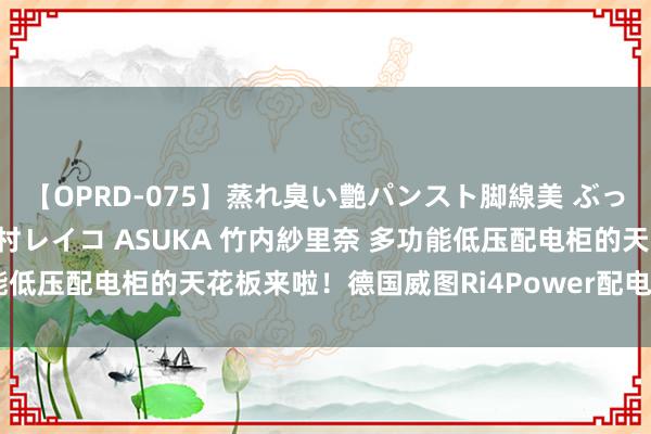 【OPRD-075】蒸れ臭い艶パンスト脚線美 ぶっかけゴックン大乱交 澤村レイコ ASUKA 竹内紗里奈 多功能低压配电柜的天花板来啦!德国威图Ri4Power配电处治有经营