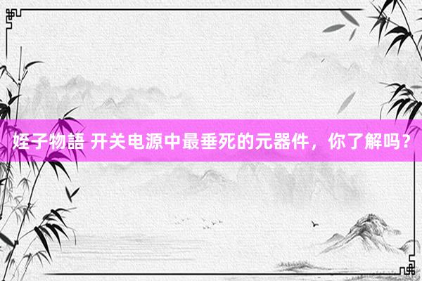 姪子物語 开关电源中最垂死的元器件,你了解吗?
