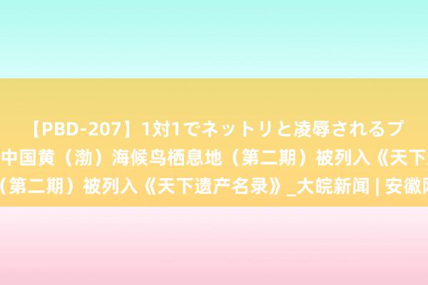 【PBD-207】1対1でネットリと凌辱されるプレミア女優たち 8時間 中国黄(渤)海候鸟栖息地(第二期)被列入《天下遗产名录》_大皖新闻 | 安徽网