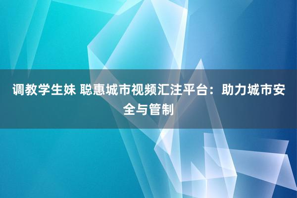 调教学生妹 聪惠城市视频汇注平台:助力城市安全与管制