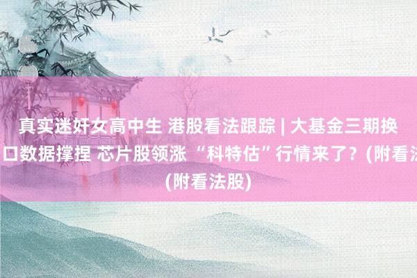 真实迷奸女高中生 港股看法跟踪 | 大基金三期换取出口数据撑捏 芯片股领涨 “科特估”行情来了?(附看法股)