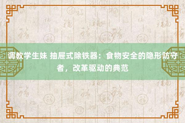 调教学生妹 抽屉式除铁器:食物安全的隐形防守者,改革驱动的典范