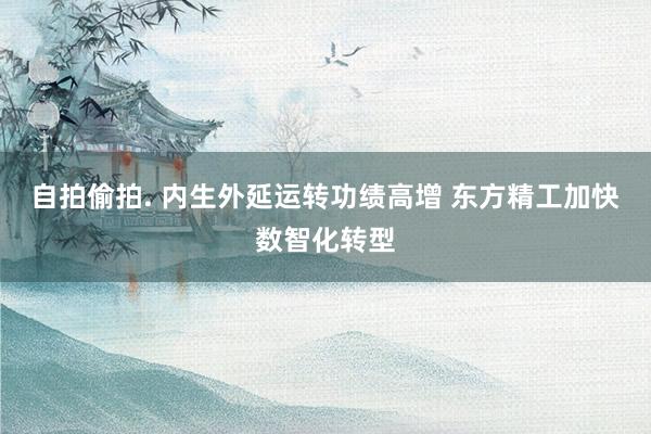 自拍偷拍. 内生外延运转功绩高增 东方精工加快数智化转型