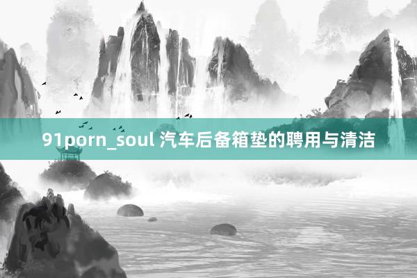 91porn_soul 汽车后备箱垫的聘用与清洁