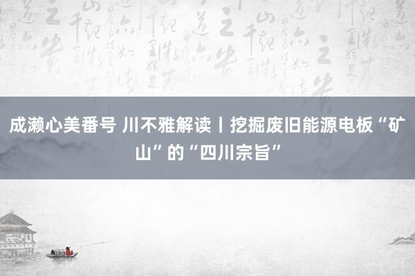 成濑心美番号 川不雅解读丨挖掘废旧能源电板“矿山”的“四川宗旨”