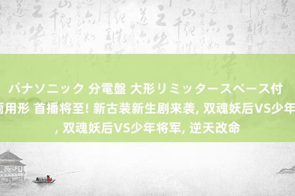 パナソニック 分電盤 大形リミッタースペース付 露出・半埋込両用形 首播将至! 新古装新生剧来袭, 双魂妖后VS少年将军, 逆天改命